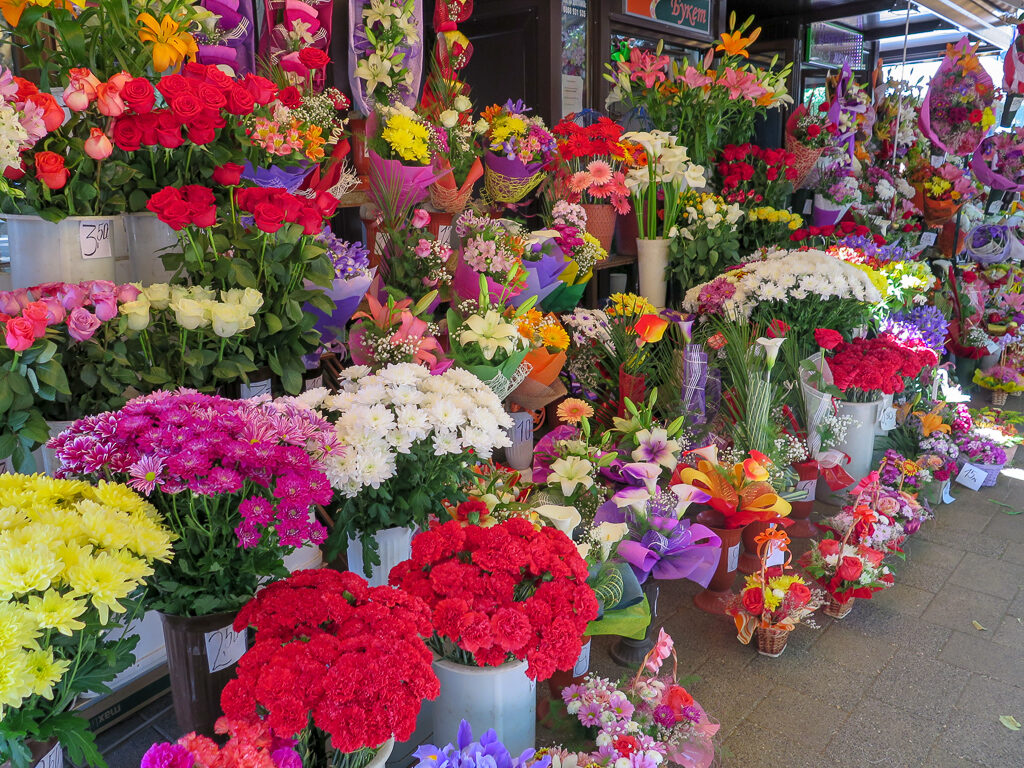 Bulgariska blommor med  kraftfulla färger