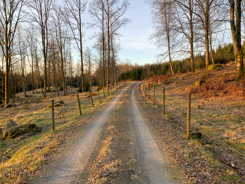 Promenad på grusväg